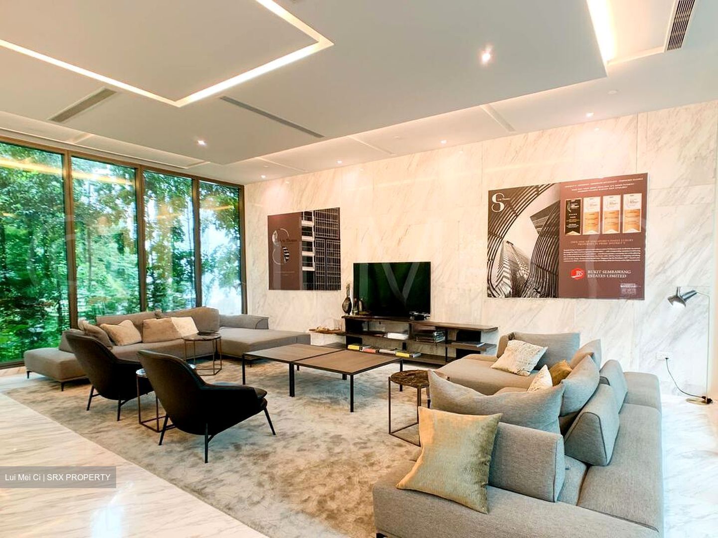 8 Saint Thomas (D9), Condominium #576772751